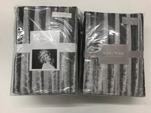 Load image into Gallery viewer, Iliana Silver Curtains