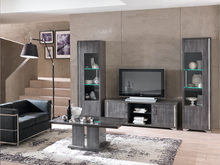Load image into Gallery viewer, Armony 1 Door Display Cabinet