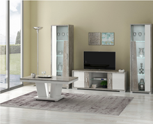 Load image into Gallery viewer, Kronos 1 Door Display Cabinet