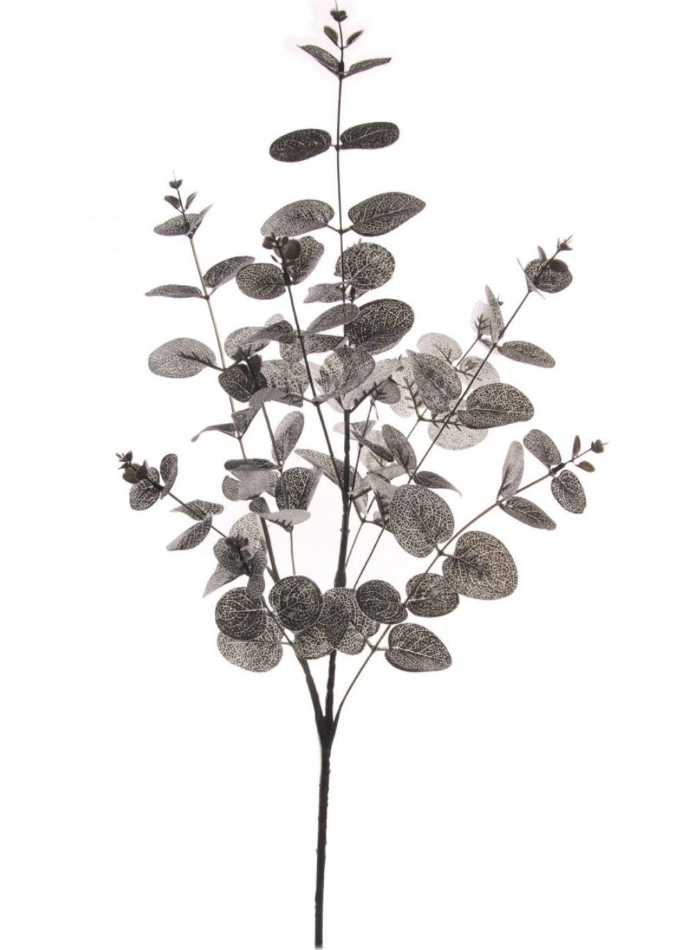 Black / Silver Eucalyptus Spray 90cm
